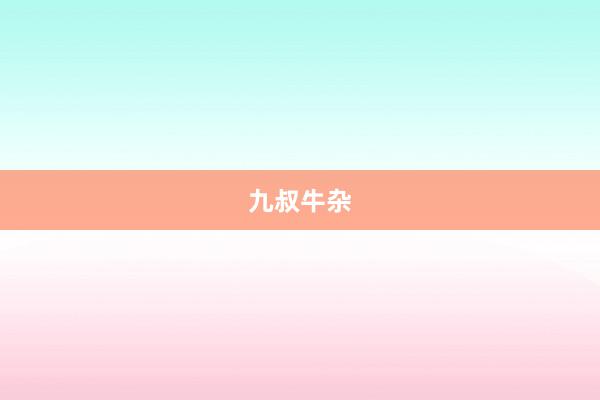 九叔牛杂